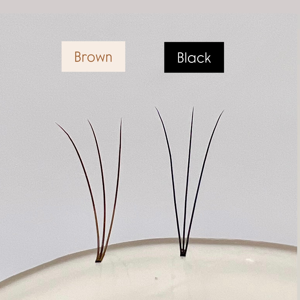 Brown 3D Pre-made Short Stem