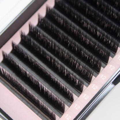 Easy Fan Lashes