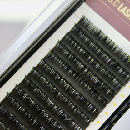 Matte Individual Lashes