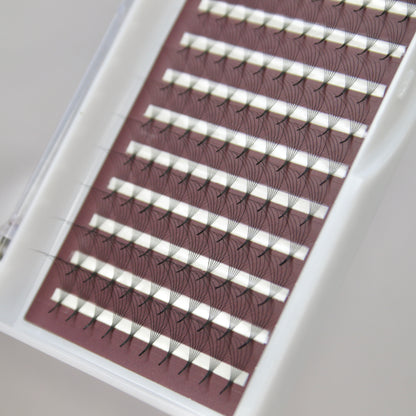 6D Pro-Made
