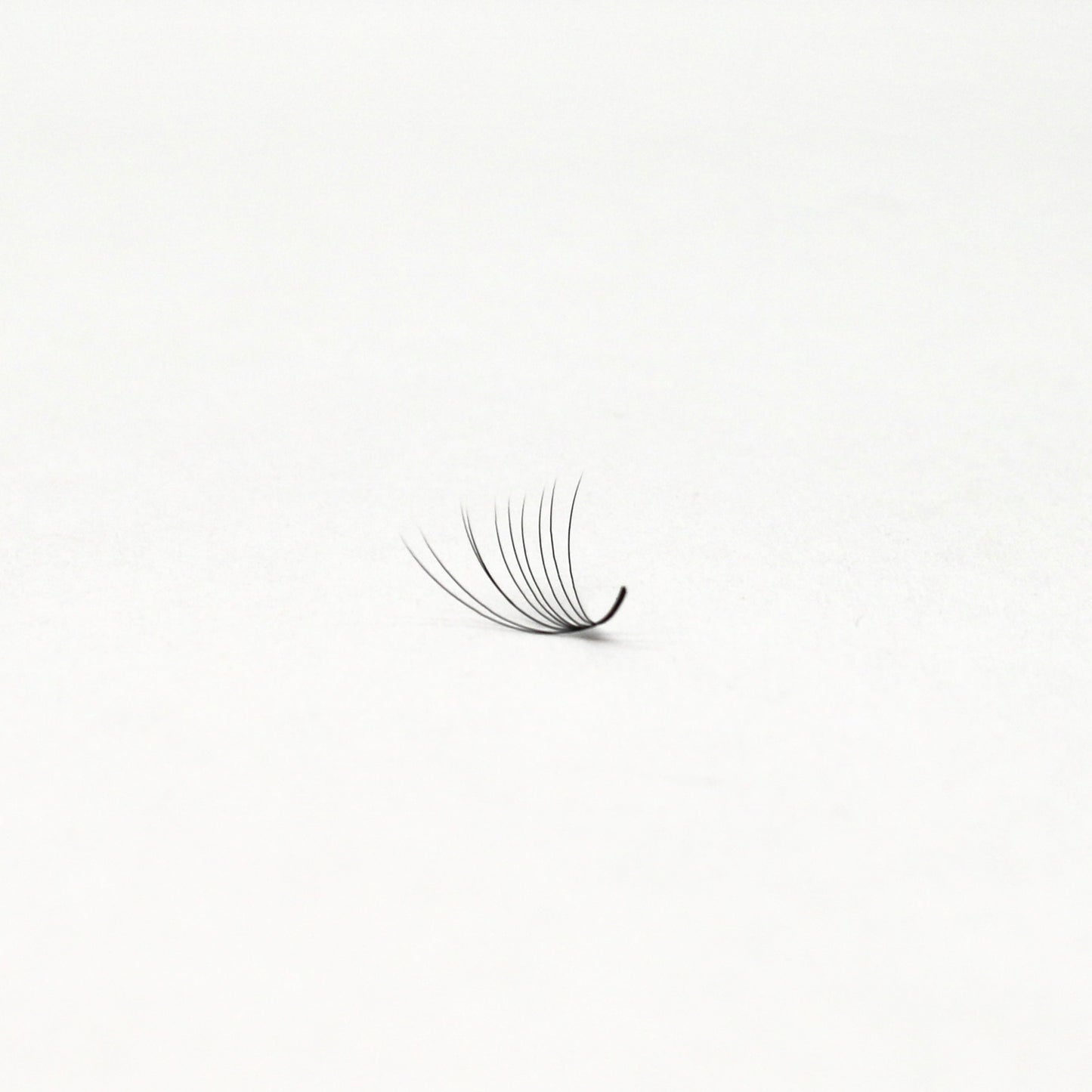 10D Pro-Made Loose Fan