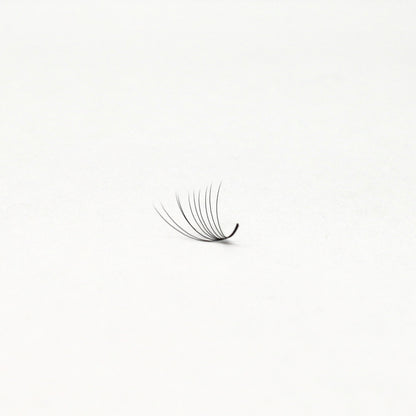 10D Pro-Made Loose Fan