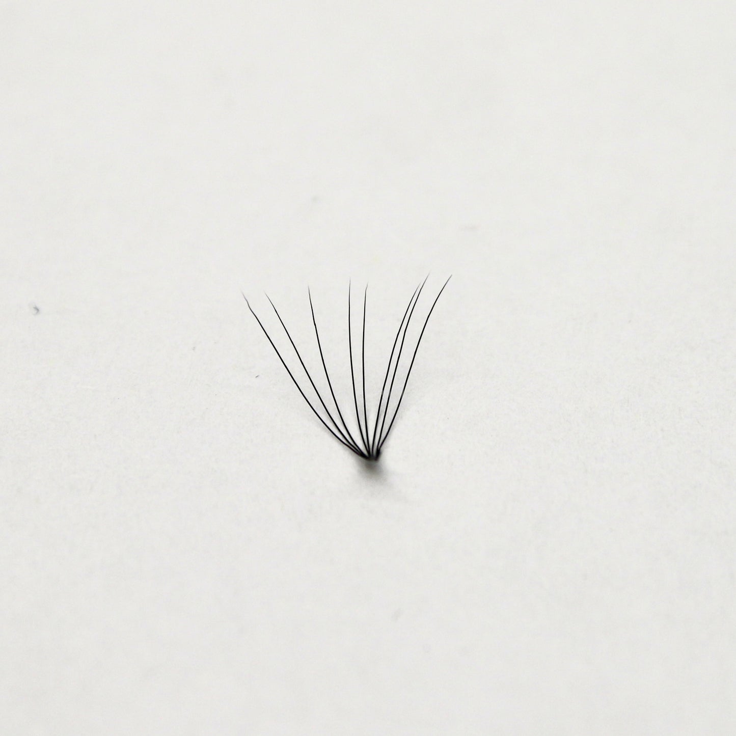 8D Pro-Made Loose Fan
