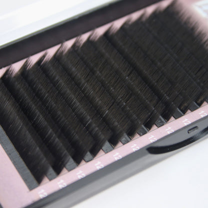 Easy Fan Lashes